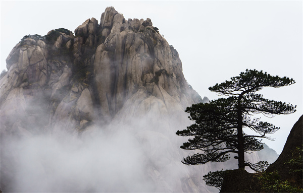 微信图片_20231211143046.jpg 微信图片_20231211143046.jpg