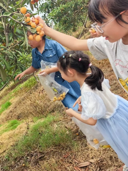 微信图片_20260526150526_2560_92.jpg